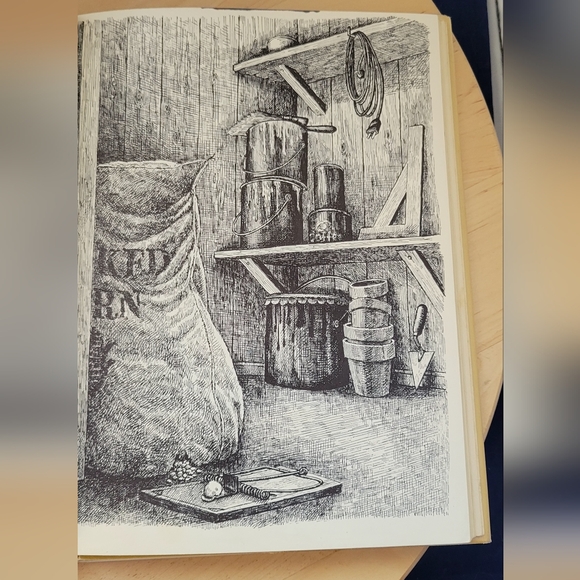 Vintage The Cricket Winter Felice Holman 1967 1st Edition HC W/DJ Ex-Library - Picture 6 of 7